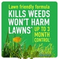 thumbnail image 4 of Roundup For Lawns1 with QuickHand Sprayer, 1.5L, 4 of 11