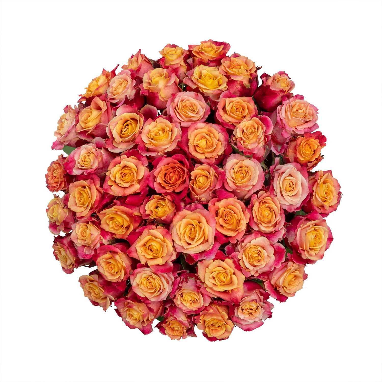 Member's Mark Ecuadorian Premium Roses, choose color variety and stem ...