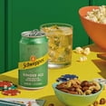 thumbnail image 8 of Schweppes Ginger Ale 12 fl. oz., 24 pk., 8 of 11
