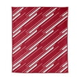 thumbnail image 4 of Logo Brands Arkansas Razorbacks 60"x70" Super Plush Blanket, 4 of 6
