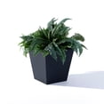 thumbnail image 3 of Member's Mark 14" Square Planter, 3 of 8