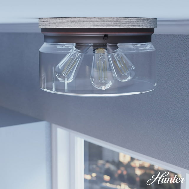 Hunter Devon Park Clear Glass 3 Light Flush Mount Ceiling Light Fixture