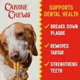 thumbnail image 6 of Canine Chews 8" Basted Rawhides for Dogs, 25 ct., Choose Flavor, 6 of 11
