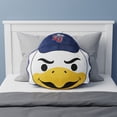 thumbnail image 2 of Logo Brands Liberty Flames Puff Pillow, 2 of 5