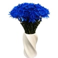 thumbnail image 2 of Member's Mark Painted Mums,  choose color and stem count, 2 of 6