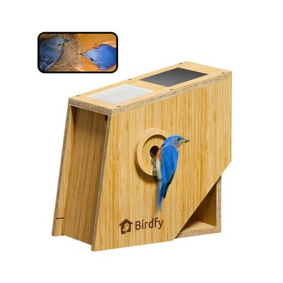 Birdfy Smart Bird House with Solar Powered AI Camera