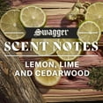 thumbnail image 3 of Old Spice Swagger Scent of Confidence Body Wash for Men, 30 fl. oz., 2 pk., 3 of 6