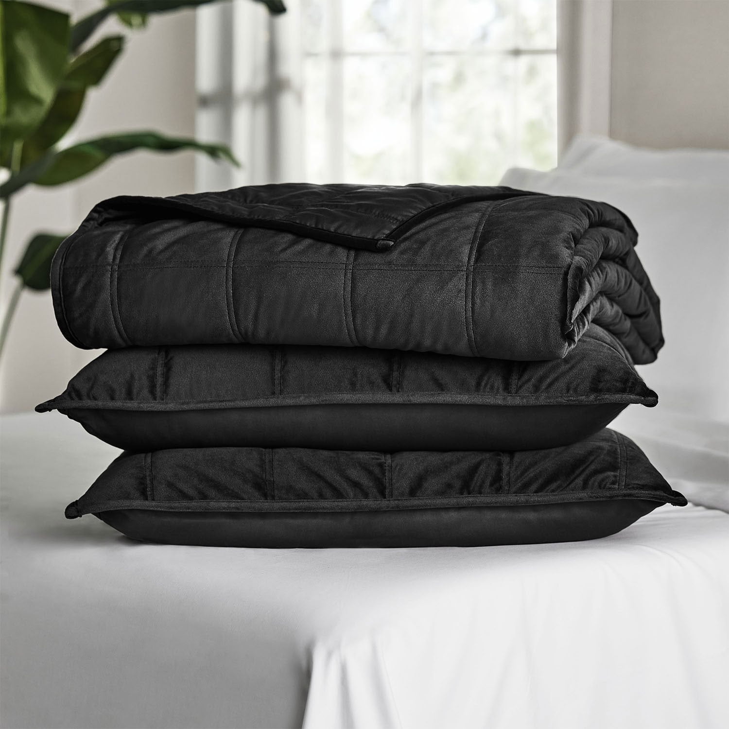 だ*ご様 LE VELVETS サイン入り特別BOX Member's Mark 3-Piece Velvet Box Quilt Set, Assorted Sizes