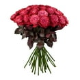 thumbnail image 3 of Member's Mark Farm Fresh Velvet Roses, choose color and stem count, 3 of 7