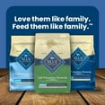 thumbnail image 9 of Blue Life Protection Formula Lamb & Rice, Adult Dry Dog Food, 36 lbs., 9 of 10