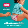 thumbnail image 7 of Pampers Cruisers 360 Diapers, Sizes 4-7, 7 of 12