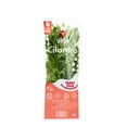 thumbnail image 1 of Premium Cilantro, 8 oz., 1 of 4