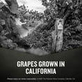 thumbnail image 5 of Saldo Zinfandel 750 ml, 5 of 8