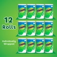 thumbnail image 4 of Bounty Select-A-Size 2-Ply Paper Towels, White (108 sheets/roll, 12 rolls), 4 of 10