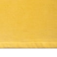 thumbnail image 4 of Loft by Loftex Artist's Collection Beach Towel, 4 of 8