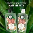 thumbnail image 4 of Herbal Essences Argan Oil & Green Tea Shampoo, 33.8 fl. oz., 4 of 10