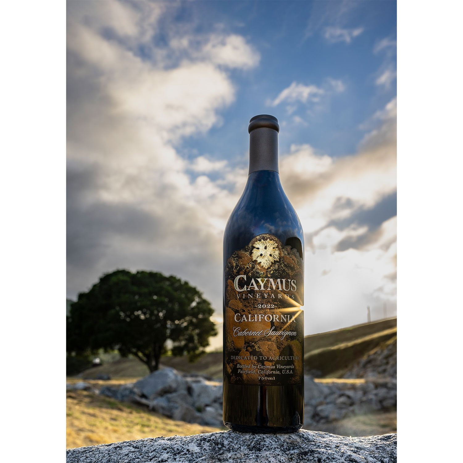 Caymus Vineyards California Cabernet Sauvignon, 750 ml - Samsclub.com