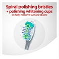 thumbnail image 5 of Colgate Total + Whitening Toothbrush, Soft or Medium (8 pk.), 5 of 8