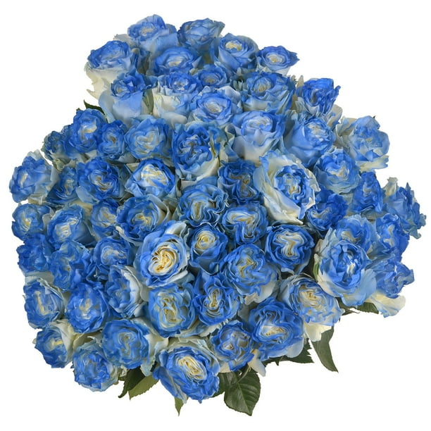 Member's Mark Illusion Roses, 96 stems, Choose color variety