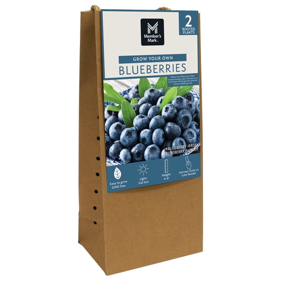 Member's Mark Blueberry Patriot & Jersey, 2pk