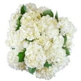 thumbnail image 1 of Member's Mark Hydrangeas, choose color and stem count, 1 of 5