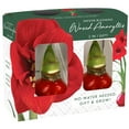 thumbnail image 1 of Holiday Waxed Amaryllis Bulbs, 2pk, 1 of 1