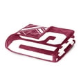 thumbnail image 5 of Logo Brands Arizona State Sun Devils 60"x70" Super Plush Blanket, 5 of 6