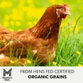 thumbnail image 6 of Member’s Mark Pasture Raised Organic Grade A Large Brown Eggs, 1.5 dozen, 6 of 8