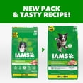 thumbnail image 3 of IAMS Proactive Health Minichunks Chicken Recipe Adult Dry Dog Food, Multi-sizes, 3 of 12