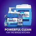 thumbnail image 9 of Dawn Professional Heavy Duty Manual Pot and Pan Dish Soap Detergent 1 Gallon, 9 of 10
