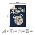 thumbnail image 5 of Logo Brands North Carolina A&T Aggies Luxe Dreams Throw, 60" x 80", 5 of 6