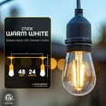 thumbnail image 3 of EcoScapes by Enbrighten 48' Outdoor LED Café String Lights, 24 Bulbs, 3 of 7