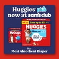thumbnail image 4 of Huggies Little Snugglers Plus Baby Diapers, Size 1-2, 4 of 12