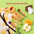 thumbnail image 5 of Burt's Bees Garden Party Moisturizing Lip Balm Value Pack, 10 Tubes, 0.15 oz. ea., 5 of 11