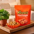 thumbnail image 6 of Reese Filled Pretzels 28oz, 6 of 8