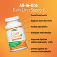 thumbnail image 4 of Doctors' Preferred Liver Defense+ with Milk Thistle, 90 Capsules, 4 of 9