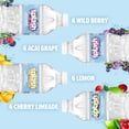 thumbnail image 3 of Splash Refresher Variety Pack 16.9 fl. oz., 24 pk., 3 of 9