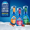 thumbnail image 9 of Dawn Platinum Plus Powerwash Dish Spray Bottle Set, Seasonal Variety Pack, 1 Spray Bottle + 2 Refills, 48 fl. oz., 9 of 9