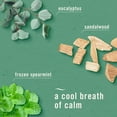 thumbnail image 9 of Febreze PLUG Air Freshener, Sweet Winter Spearmint & Cuddle Weather, 1 Warmer + 5 Refills, 4.35 fl. oz., 9 of 10