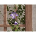 thumbnail image 3 of Vita 96″ x 54" Vinyl Trellis, 3 of 5