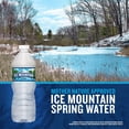 thumbnail image 4 of Ice Mountain 100% Natural Spring Water 16.9 fl. oz. 40 pk., 4 of 9