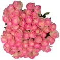 thumbnail image 6 of Member's Mark Illusion Roses, 96 stems, Choose color variety, 6 of 7
