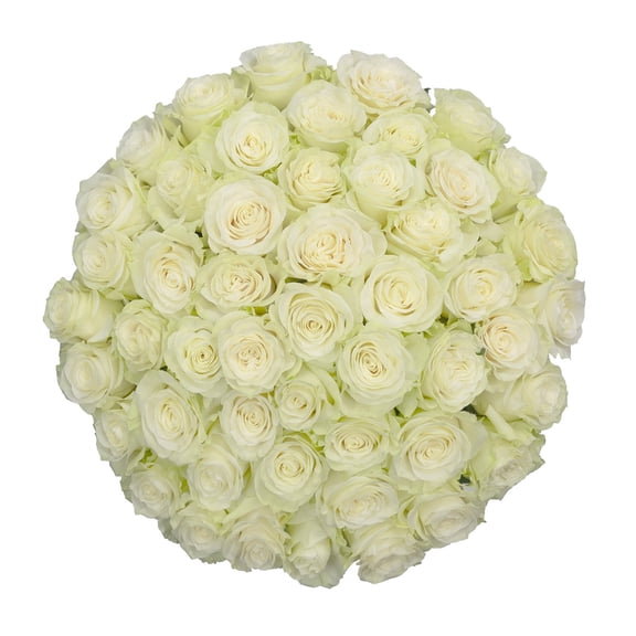 Member's Mark Ecuadorian Premium Roses, choose color variety and stem count