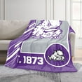 thumbnail image 2 of Logo Brands TCU Horned Frogs 60"x70" Super Plush Blanket, 2 of 6