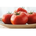 thumbnail image 1 of Beefsteak Tomatoes (6 ct.), 1 of 4