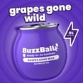 thumbnail image 6 of BuzzBallz Cocktail Variety Pack, 200 ml, 8 pk., 6 of 7