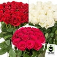thumbnail image 2 of Member's Mark Fair Trade Roses, 75 stems, Choose color variety, 2 of 5