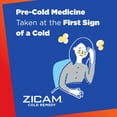 thumbnail image 3 of Zicam Cold Remedy Rapidmelts, Citrus Flavor, 36ct, 3 of 5