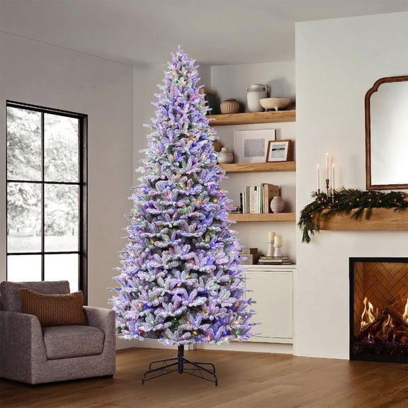 Member's Mark 12' Flocked Silverthorn Pre-Lit Christmas Tree