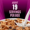 thumbnail image 5 of Raisin Bran Protein Breakfast Cereal, 41.2 oz., 5 of 9